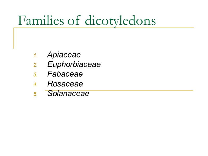 Families of dicotyledons  Apiaceae Euphorbiaceae Fabaceae Rosaceae Solanaceae